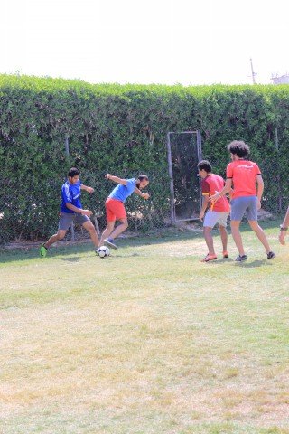 IMG_0241.jpg