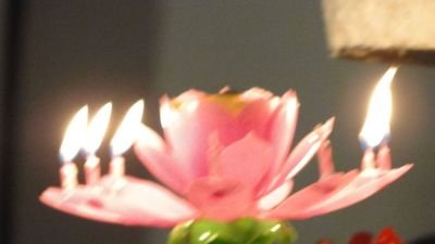 DSC00736.jpg