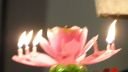 DSC00736.jpg