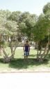 Filename=DSC01326.jpg
Filesize=520KiB
Dimensions=1152x2048
Date added=Jun 25, 2023 DSC01326.jpg