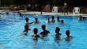DSC01384.jpg