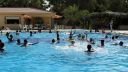 DSC01386.jpg