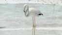 DSC01579.jpg