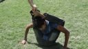 DSC01823.jpg