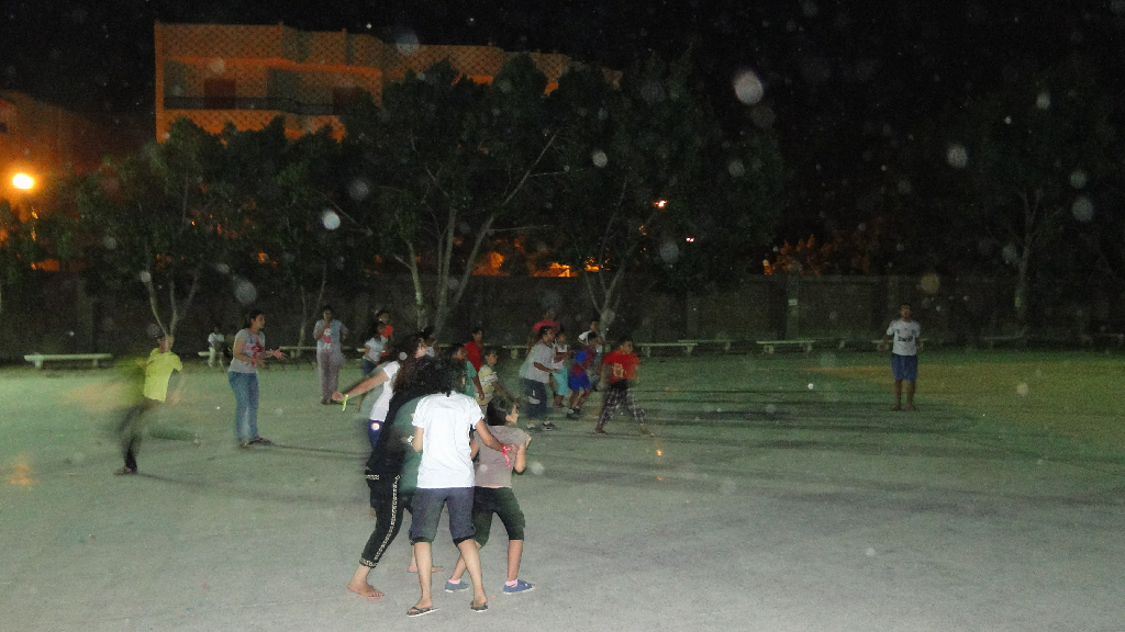 DSC03742.png