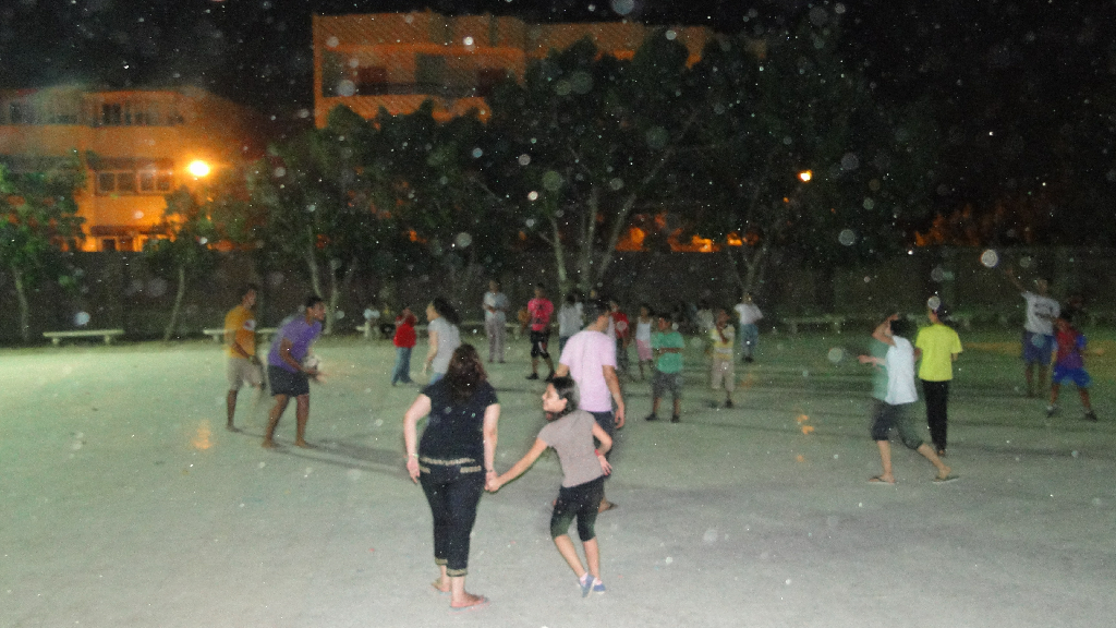 DSC03744.png