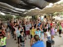 Filename=DSC06748.jpg
Filesize=73KiB
Dimensions=480x360
Date added=Jun 24, 2023 DSC06748.jpg