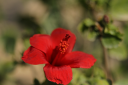 IMG_2640.png