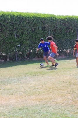 IMG_0242.jpg