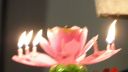 DSC00736.jpg