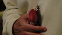 DSC02145.jpg