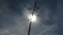 DSC00974.jpg