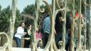 DSC04856.jpg