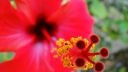 DSC01734.jpg
