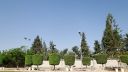 DSC01739.jpg