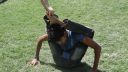 DSC01823.jpg