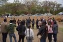 DSC09253.jpg
