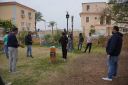 DSC09259.jpg